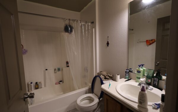 Bathroom Before